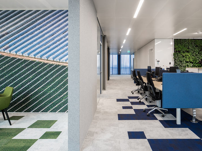 綠色食品公司辦公室吸音墻裝修設(shè)計效果圖