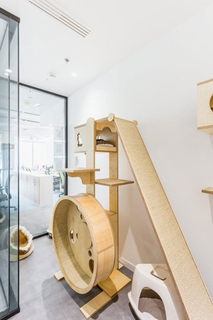 寵物食品公司辦公室寵物區(qū)裝修設(shè)計效果圖