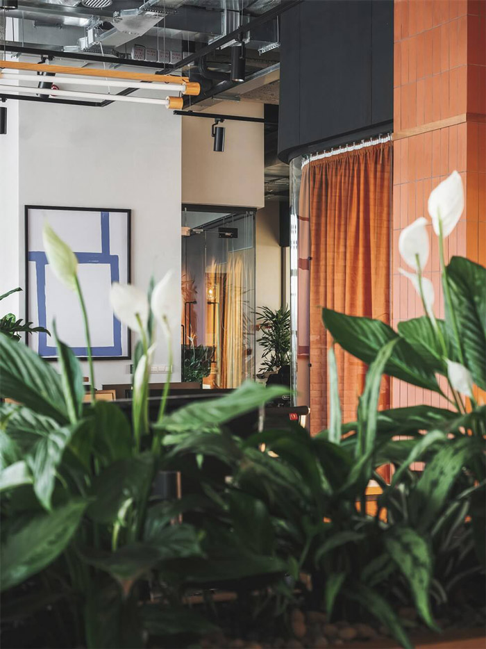 企業(yè)辦公室綠植裝修設(shè)計效果圖