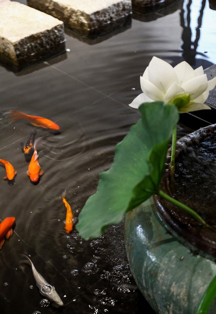 370平方禪意辦公室水池裝修效果圖