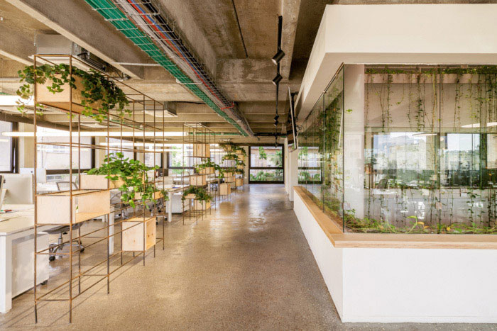 綠色辦公室走廊設(shè)計(jì)效果圖