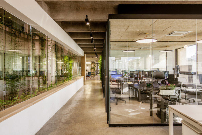 綠色辦公室走廊設(shè)計(jì)效果圖